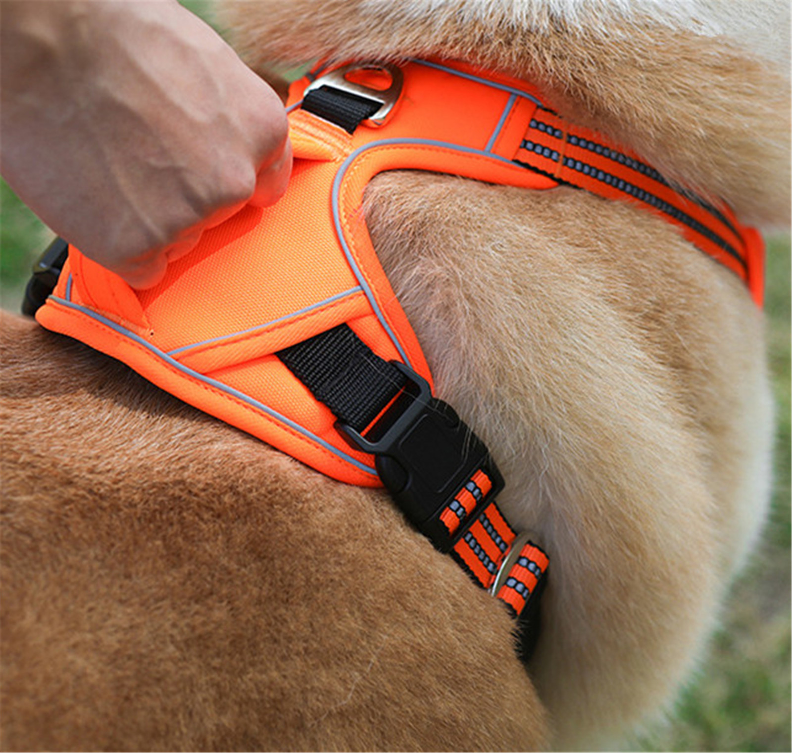 Durable Waterproof Pet Harness with Vertical Handle 2